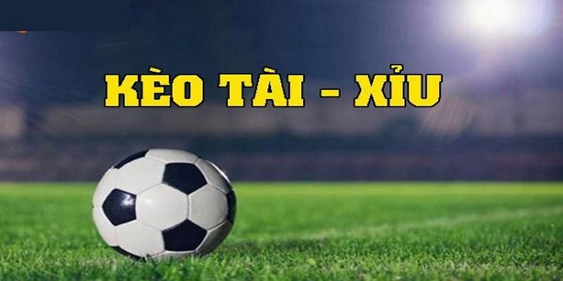 Cược bóng đá tài xỉu